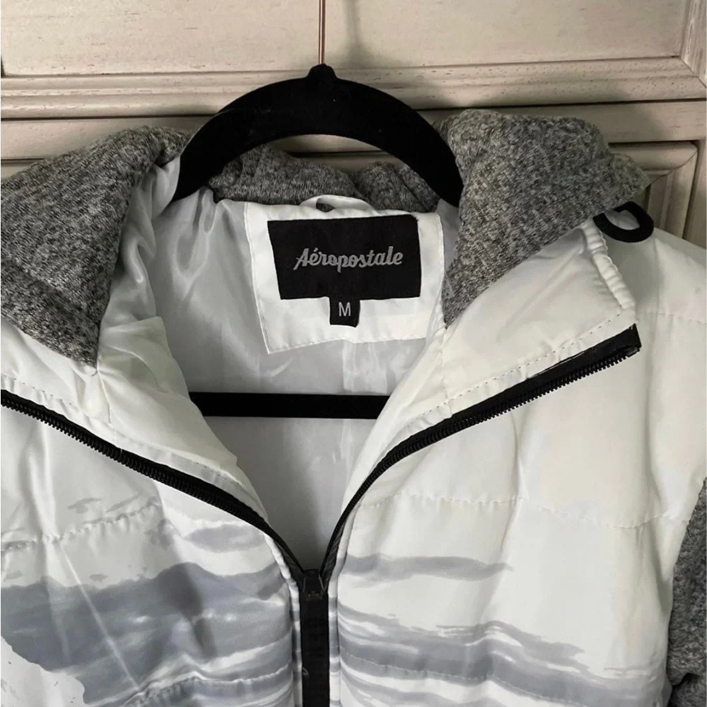 Nwt Aeropostle hooded jacket mountain scene